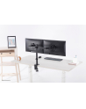 newstar Uchwyt biurkowy na dwa monitory 10-32 FPMA-D550DBLACK - nr 19