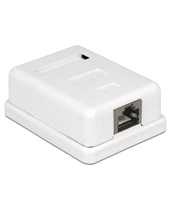 Delock gniazdo natynkowe podwójne 1x RJ45 kat. 6; LSA