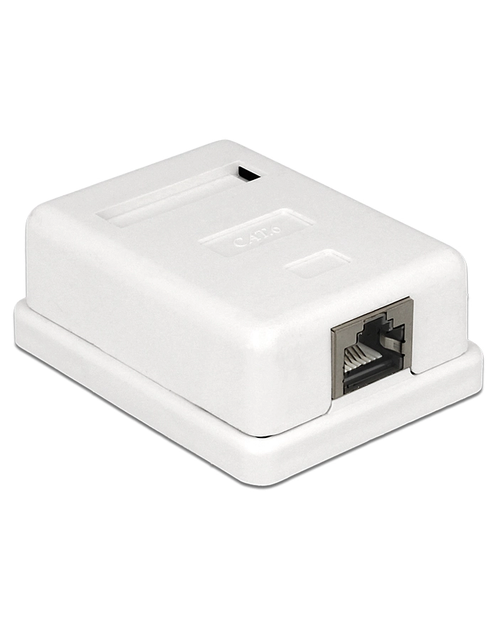 Delock gniazdo natynkowe podwójne 1x RJ45 kat. 6; LSA główny