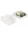 Delock gniazdo natynkowe podwójne 1x RJ45 kat. 6; LSA - nr 14