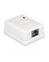Delock gniazdo natynkowe podwójne 1x RJ45 kat. 6; LSA - nr 22