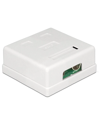 Delock gniazdo natynkowe podwójne 2x RJ45 kat. 6; LSA nr 2