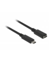 Delock przedłużacz USB Typ-C AM-AF;  1,0m, czarny - nr 18