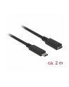 Delock przedłużacz USB Typ-C AM-AF;  2,0m, czarny - nr 22