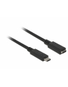 Delock przedłużacz USB Typ-C AM-AF;  1,5m, czarny - nr 18