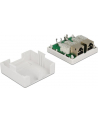 Delock gniazdo natynkowe podwójne 2x RJ45 kat. 6; LSA - nr 33