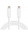 Sandberg Kabel ładujący USB-C 1M, 100 W - nr 6