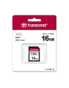 Transcend karta pamięci SDHC 16GB Class 10 ( 95MB/s ) - nr 2