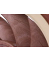 Noctua NF-A12x25 5V - nr 39