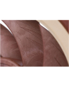 Noctua NF-A12x25 5V - nr 45