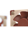 Noctua NF-A4x10 PWM - nr 37