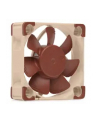 Noctua NF-A4x10 PWM - nr 53