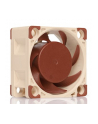 Noctua NF-A4x20 5V PWM - nr 17