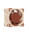 Noctua NF-A4x20 PWM - nr 21