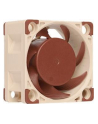 Noctua NF-A4x20 PWM - nr 42