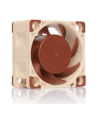 Noctua NF-A4x20 PWM - nr 48