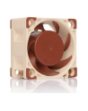 Noctua NF-A4x20 PWM - nr 49