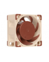 Noctua NF-A4x20 PWM - nr 50