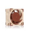 Noctua NF-A4x20 PWM - nr 25