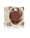 Noctua NF-A4x20 PWM - nr 1