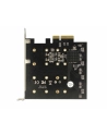 DeLOCK PCIe > 4x internal M.2 B - RAID - nr 28
