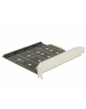 DeLOCK PCIe > 4x internal M.2 B - RAID - nr 2