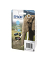 Epson 24XL C13T24354012 - light cyan - nr 21