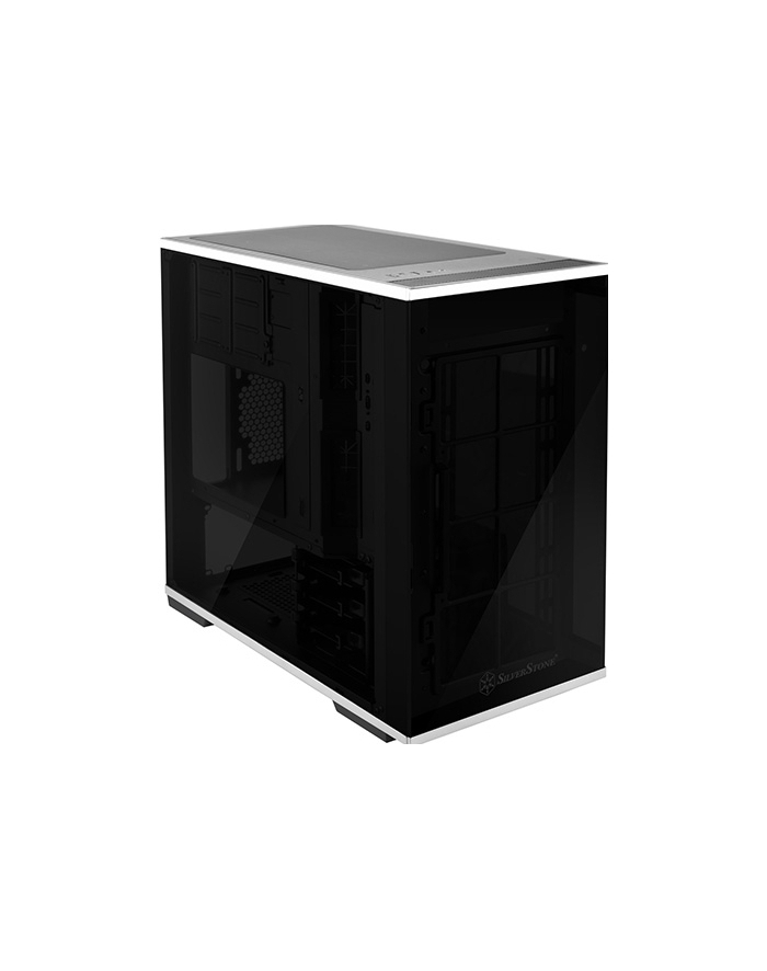 silverstone technology SilverStone SST-LD01B - Tower Enclosure - black główny