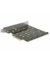 DeLOCK PCIe > 4x internal M.2 B - RAID - nr 16