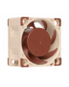Noctua NF-A4x20 FLX - nr 23