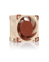 Noctua NF-A4x20 FLX - nr 74