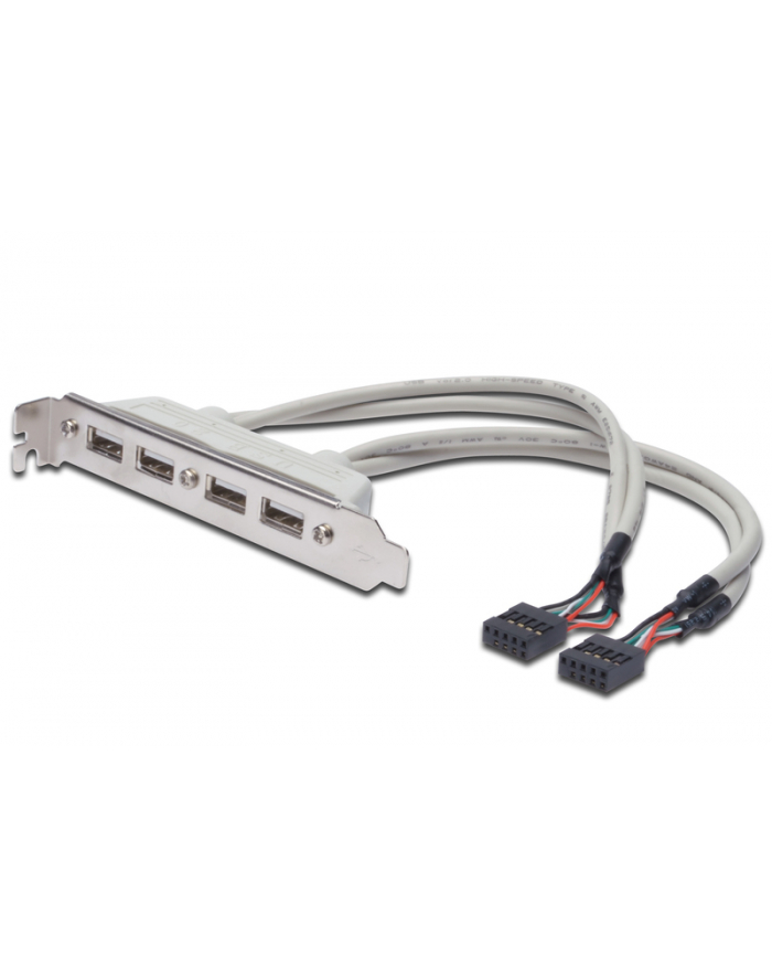 assmann Kabel na śledziu USB 2.0 HighSpeed Typ 2xIDC (5pin)/4xUSB A M/Ż szary 0,25m główny