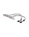 assmann Kabel na śledziu USB 2.0 HighSpeed Typ 2xIDC (5pin)/4xUSB A M/Ż szary 0,25m - nr 9