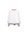 blaupunkt Przenośny głośnik Bluetooth BT25LAMP - nr 3