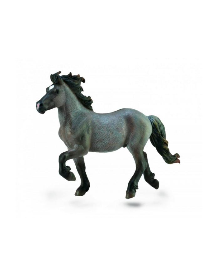 Koń Icelandic Stallion Blue Dun 88826 COLLECTA główny