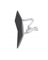 Ergotron LX mounting 2 monitors wh - nr 6