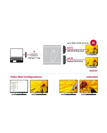 DeLOCK Type-C > HDMI + DP 4K - Splitter 30hz