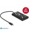 DeLOCK Thunderbolt 3> DP x2 Adapter - nr 11