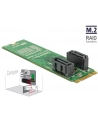 DeLOCK converter B+M St > 2x SATA 7P - RAID with housing - nr 10
