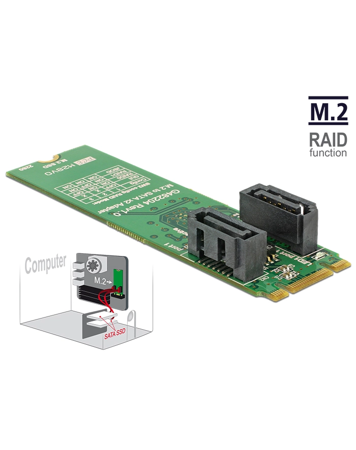 DeLOCK converter B+M St > 2x SATA 7P - RAID with housing główny