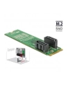 DeLOCK converter B+M St > 2x SATA 7P - RAID with housing - nr 11