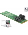 DeLOCK converter B+M St > 2x SATA 7P - RAID with housing - nr 12