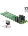 DeLOCK converter B+M St > 2x SATA 7P - RAID with housing - nr 16