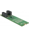DeLOCK converter B+M St > 2x SATA 7P - RAID with housing - nr 22
