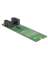 DeLOCK converter B+M St > 2x SATA 7P - RAID with housing - nr 5