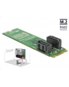 DeLOCK converter B+M St > 2x SATA 7P - RAID with housing - nr 7