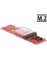 DeLOCK converter Key M St>M.2 E Slot - nr 13