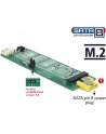 DeLOCK Konv SATA Pin8 blue>M.2 B Slot - nr 37