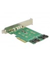 DeLOCK Express card x Slot - Profile Form Faktor - nr 14