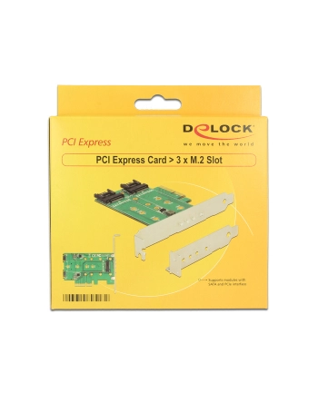 DeLOCK Express card x Slot - Profile Form Faktor